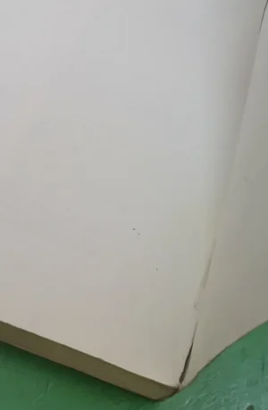 641361-MLA108979674020_032026 Duendes - Carlos Canales Y Jesús Callejo