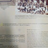 Campeones Del Siglo Xx - Club Atlético Peñarol