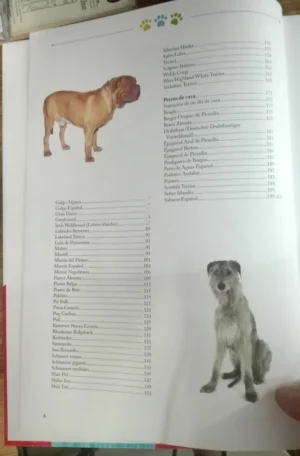 La Biblia De Los Perros Conociendo Todo Sobre Ellos. Con Dvd