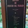643743-MLA92042287307_092025 Tratado De Derecho Del Trabajo - Tomo 6 - Vazquez Vialard