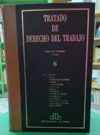 643743-MLA92042287307_092025 Tratado De Derecho Del Trabajo - Tomo 6 - Vazquez Vialard