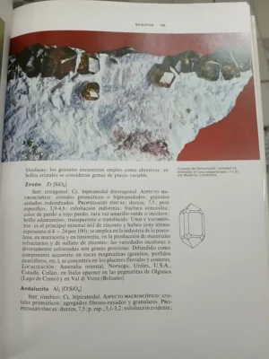 650619-MLA81563417542_012025 Guía Minerales Y Rocas Fósiles - Aguilar