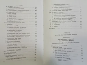 Tratado De Decho Del Trabajo Tomo I - M. Ackerman, D. Tosca