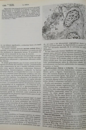 651818-MLA94065984157_102025 Nelosn Tratados De Pediatría Tomo I Y Ii - Behrman - Vaughan