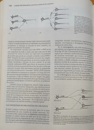 Biología  - 3era. Ed. - Solomon Berg - Martin Villee