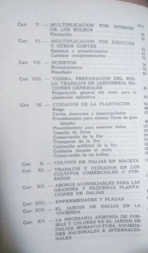 La Dalia - Selburg, Jorge Gustavo