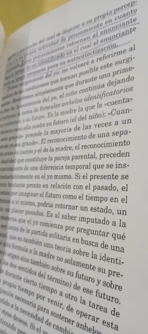 Los Destinos Del Placer - Piera Aulagnier