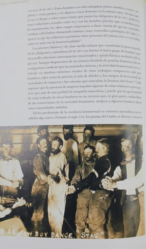 669883-MLA110413848456_052026 Gays Y Lesbianas Vida Y Cultura - Robert Aldrich Ed.