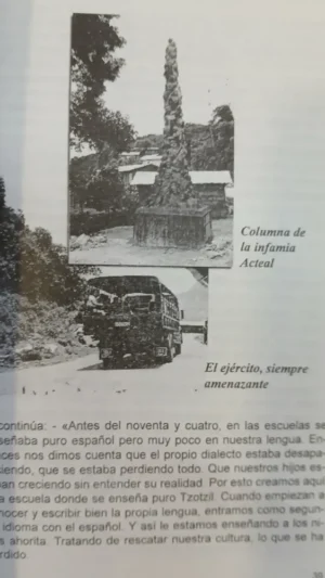 674889-MLA104793402700_012026 De Bolsón A Chiapas - En Son De Risa - Crónicas De Un Viaje