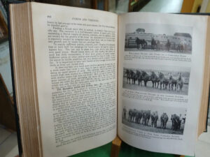 675360-MLA81939530465_012025 Feeds And Feeding For The Stockman Morrison 20a Ed En Inglés