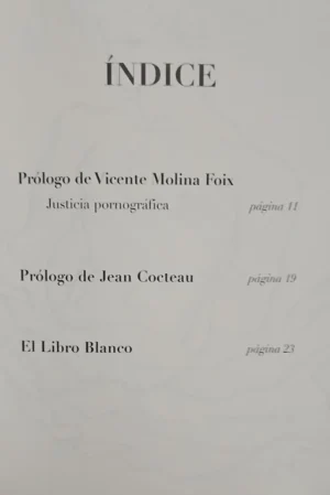 675755-MLA107346967819_022026 El Libro Blanco - Jean Cocteau
