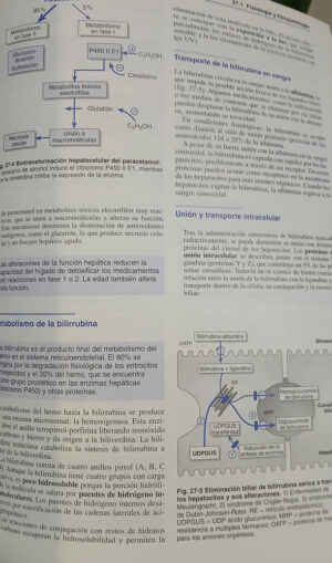 678498-MLA92047393569_092025 Fisiopatología Y Bioquímica - Pfreundschuh - Shölmerich