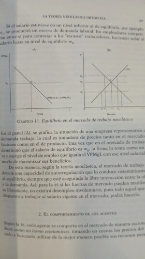 679918-MLA99634966571_112025 Teorías Económicas: Neoclásicos Y Keynesianos - Neffa