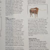 680175-MLA112579641987_062026 Genus Bos: Cattle Breeds Of The World