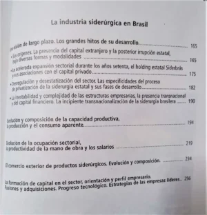 684650-MLA53109586332_122022 La Industria Siderúrgica En Argentina Y Brasil Durante