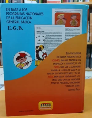 691388-MLA94068034149_102025 Didactica Escolar E.g.b. Studio - Edición Especial