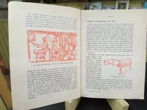 Nova Maia: Antología Latina Para La Escuela Media