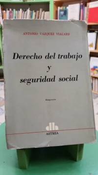 Derecho Del Trabajo Y Seguridad Social - Vázquez Vialard