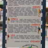 Guía Azul  El Mundo A Tu Aire - Brasil - Ed. Gaesa