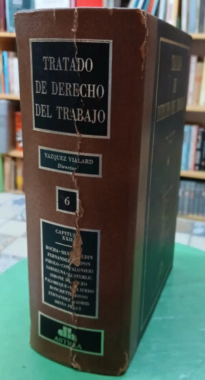 705578-MLA92042475973_092025 Tratado De Derecho Del Trabajo - Tomo 6 - Vazquez Vialard