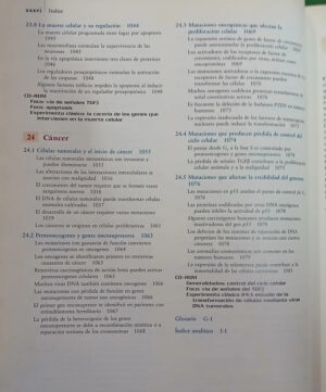 Biología Celular Y Molecular - Lodish - Berk - Y Otros