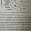 Nutrición Inteligente -  Sacha Barrio Healey