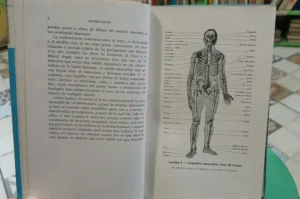 713910-MLA87892220117_072025 Anatomía Artística - Fripp, Alfredo - Thomson, Rodolfo