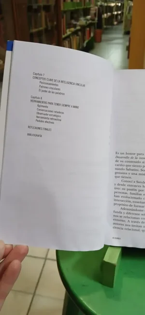 719392-MLA107314972914_032026 Desarrollo De La Inteligencia Vincular - Gutterman Sabatini