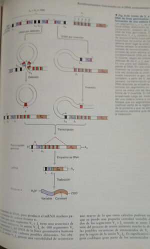 Biología Celular Y Molecular - Lodish - Berk - Y Otros