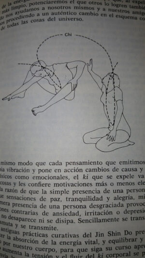El Masaje Japonés - Iona Teeguarden