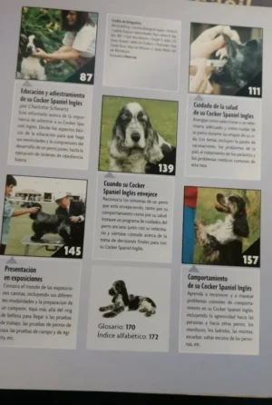 Cocker Spaniel Inglés - H. Van Wessem