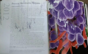 El Libro De La Biología - Michael C. Gerald, Gloria E Gerald