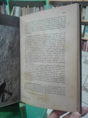 728319-MLA91132132567_082025 Diccionario De Los Ismos 2da Edición - Juan Eduardo Cirlot