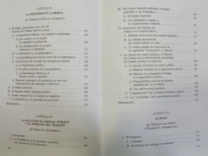 728714-MLA89723602425_082025 Tratado De Decho Del Trabajo Vi-a Vi-b M. Ackerman, D. Tosca