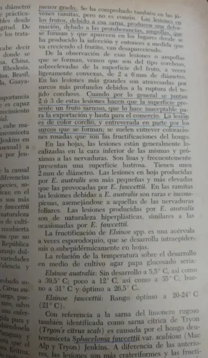 733344-MLA77489012423_072024 Fitopatología: Curso Moderno Tomo 2 - Sarasola