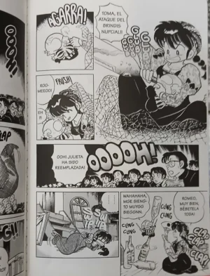Lote 24 Tomos (1 A 24) Ranma 1/2 Rumiko Takahashi Ivrea 1999