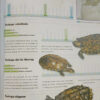 738125-MLA98892746997_112025 Mundo Animal - Reptiles Y Anfibios - Carlos A. Campos Salvá