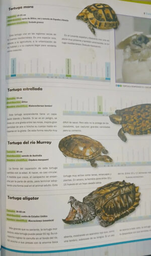 738125-MLA98892746997_112025 Mundo Animal - Reptiles Y Anfibios - Carlos A. Campos Salvá