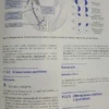 744398-MLA92047562135_092025 Fisiopatología Y Bioquímica - Pfreundschuh - Shölmerich