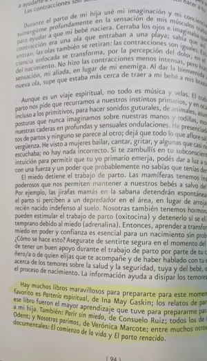Los Primeros 1000 Días De Tu Hijo  - Luisina Troncoso