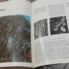 751294-MLA110357000734_052026 Libro Del Árbol - J Santos Biloni - Ing. Milan Jorge Dimitri