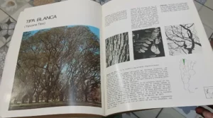 751294-MLA110357000734_052026 Libro Del Árbol - J Santos Biloni - Ing. Milan Jorge Dimitri