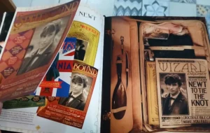 El Archivo De La Mágia, Los Crímenes De Grindelwald -  Anima