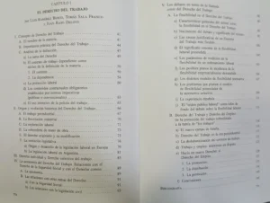 752555-MLA89723592639_082025 Tratado De Decho Del Trabajo Vi-a Vi-b M. Ackerman, D. Tosca