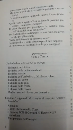 762303-MLA46518800818_062021 Il Sesto Tibetano - Christian Salvesen -