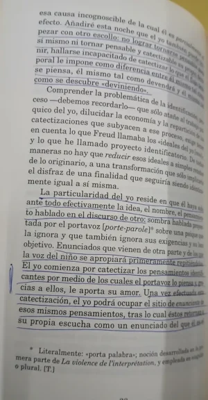 Los Destinos Del Placer - Piera Aulagnier