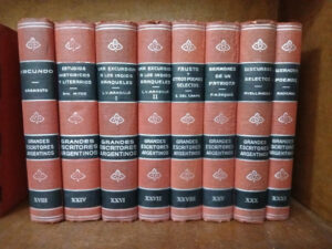 775793-MLA82453141066_022025 Grandes Escritores Argentinos - Venta Por Unidad- A. Palcos