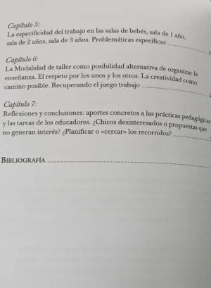 Las Prácticas Actuales En La Educación Inicial/ Laura Pitluk