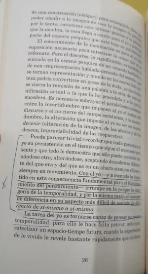 Los Destinos Del Placer - Piera Aulagnier