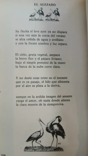783630-MLA95830055947_102025 Salvo El Crepúsculo - Julio Cortazar